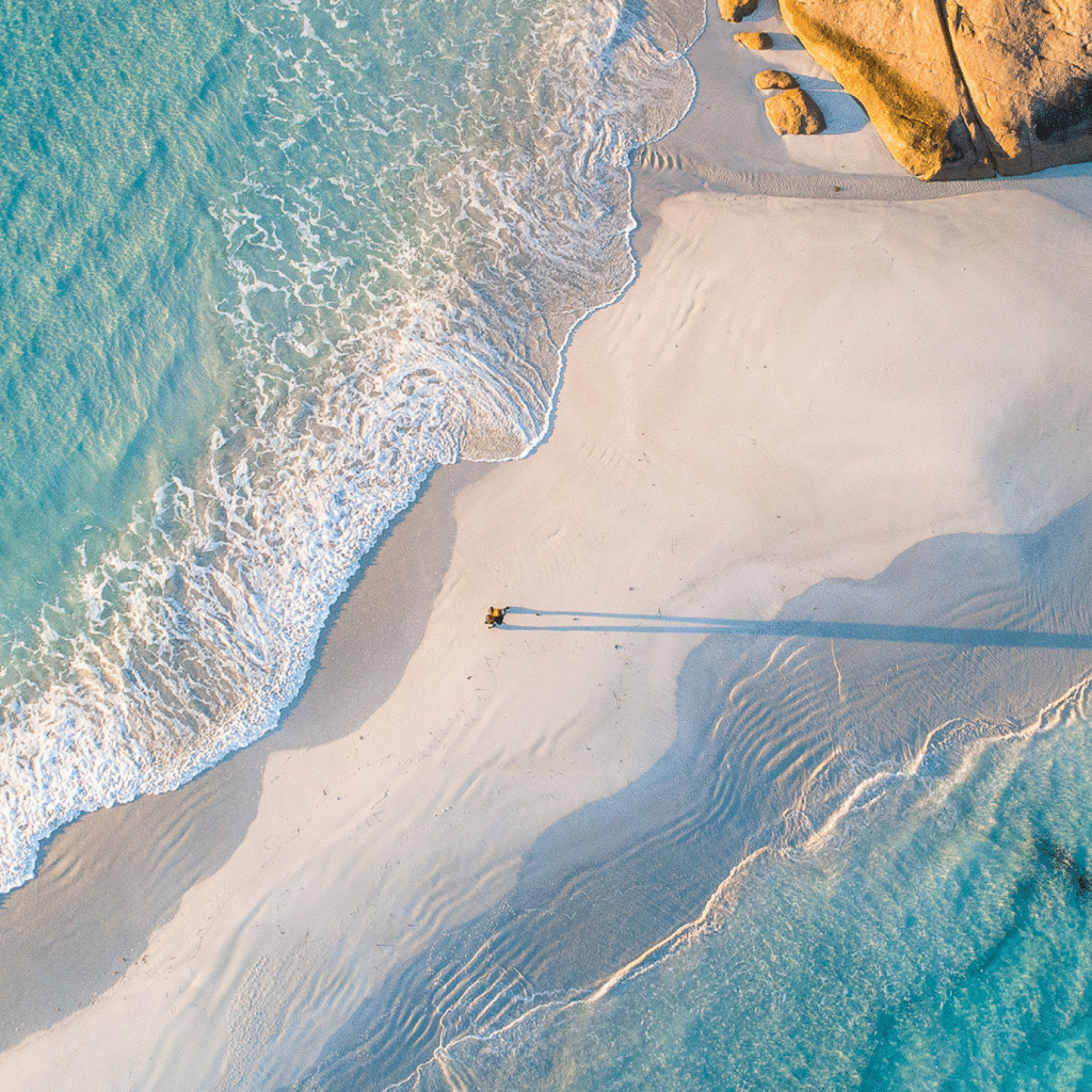 Salita Portfolio Services - Press Release